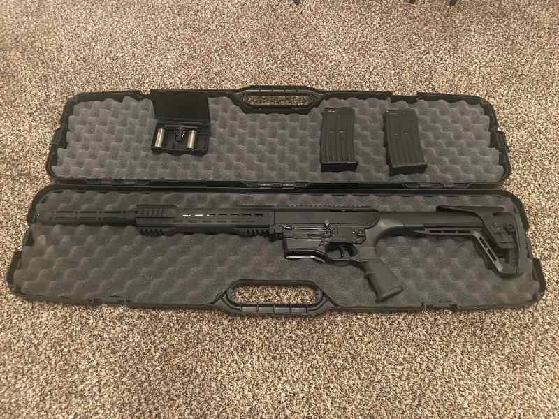 AR-12 12ga with case, mags and chokes