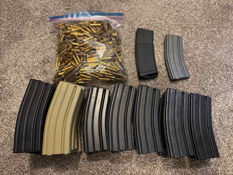 480rds IMI M855 5.56 NATO, 20x AR Magazines