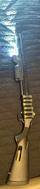 WTS/WTF 12g Mossberg 590