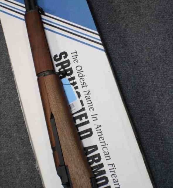 P8.jpg