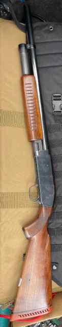 IMG_3948.jpeg
