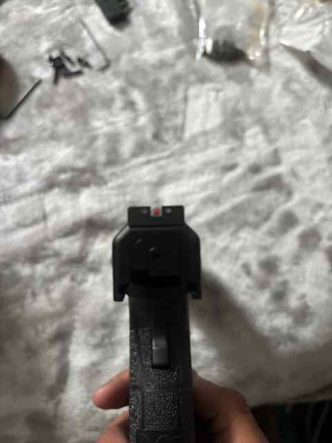 IMG_8204.jpeg