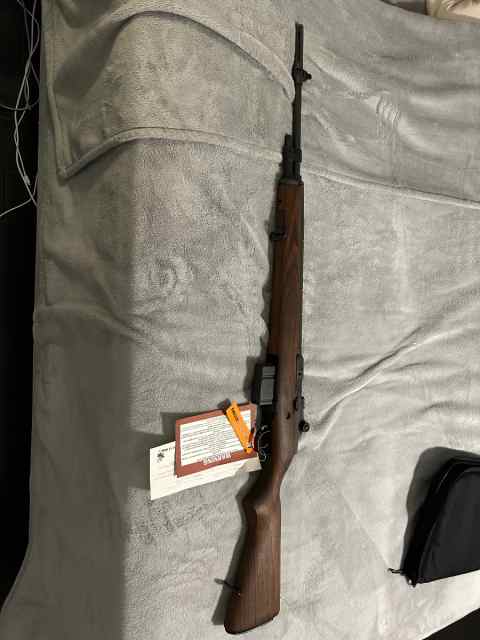 Springfield M1A