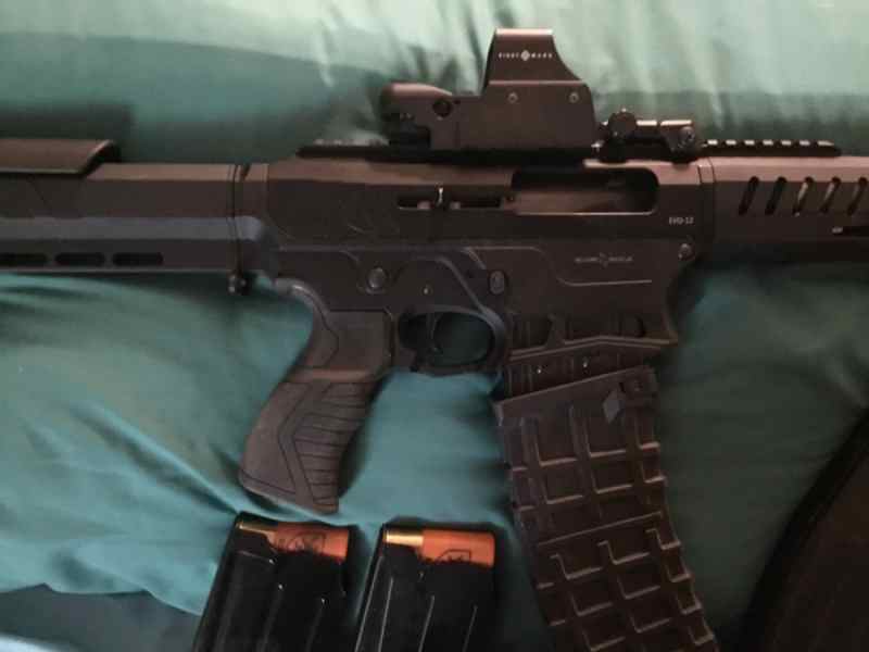 AR-12 SilverEagle Evo-12 gauge 