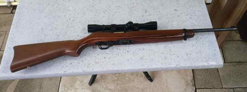 ruger 10-22 C.jpg