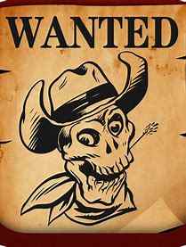 WANTED: &gt;Mauser WTP .25 ACP &amp; Walther Mod 9 in .25