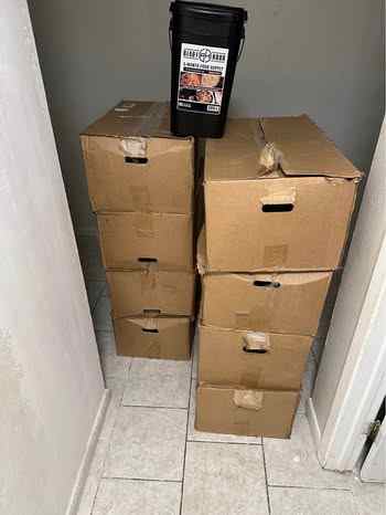 1 Year Dehydrated Food Supply