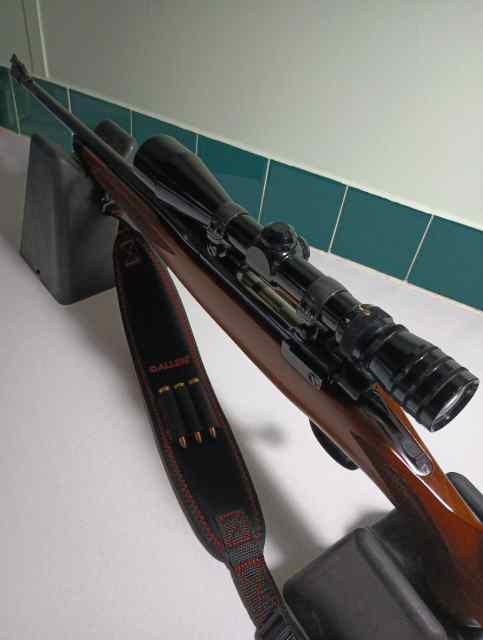  Ruger M77 .243 Cal 