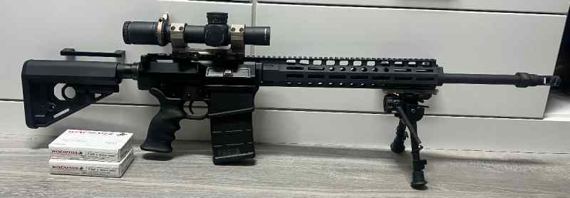 FS: AR10