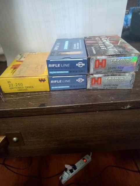 22-250 Ammo Lot