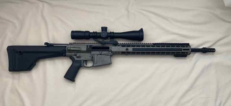 Custom AR10 308 