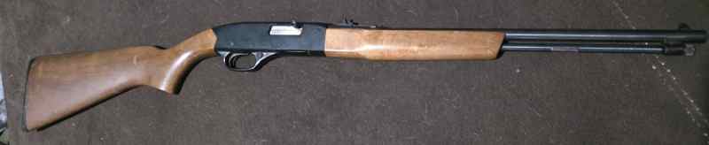 Winchester 190 22 lr/l