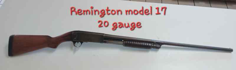 20 ga Remington model 17