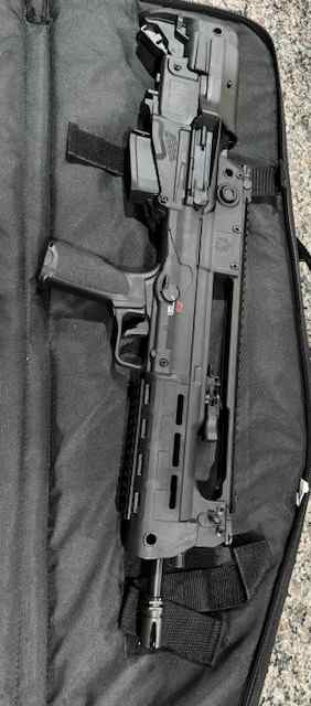 Springfield Armory Hellion 5.56 New FT