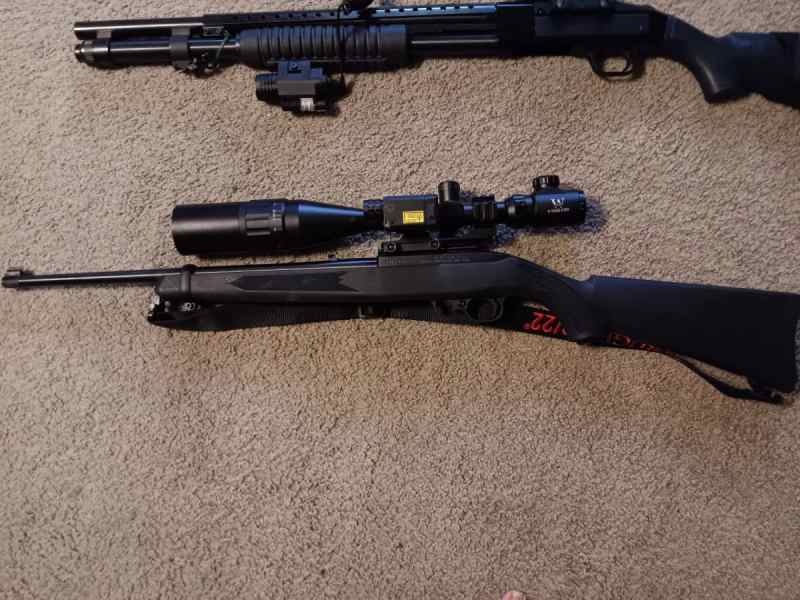 Ruger .22