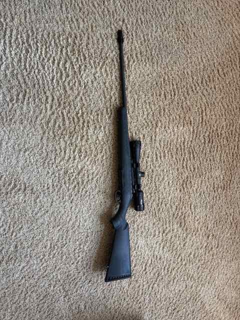 Ruger American 308
