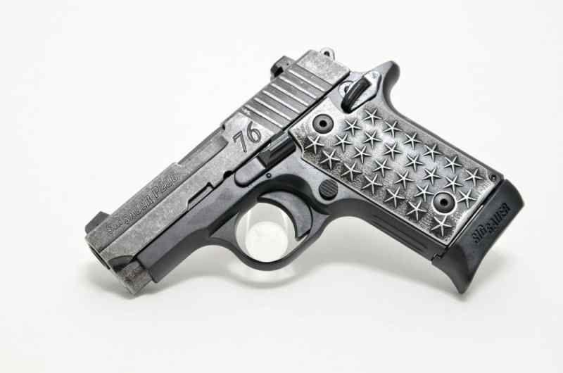 Sig 238 we the people 