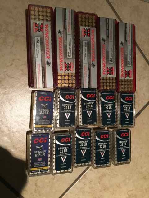 1000 Rounds 22LR Winchester/CCI Hollow Points