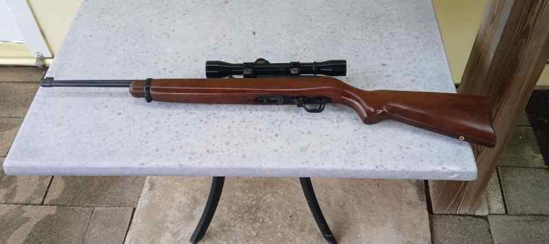 ruger 10-22 A.jpg