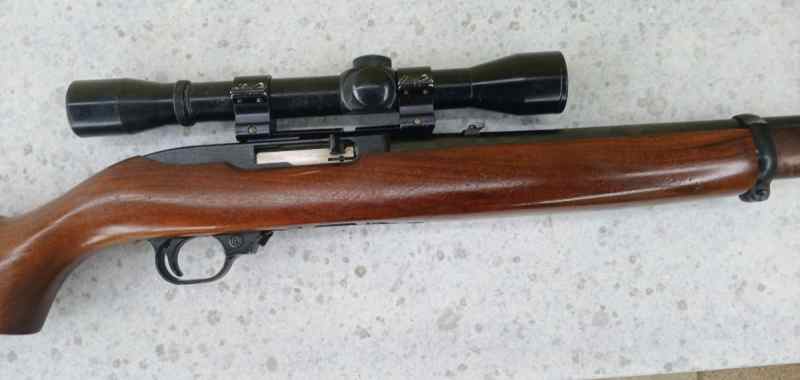 ruger 10-22 D.jpg