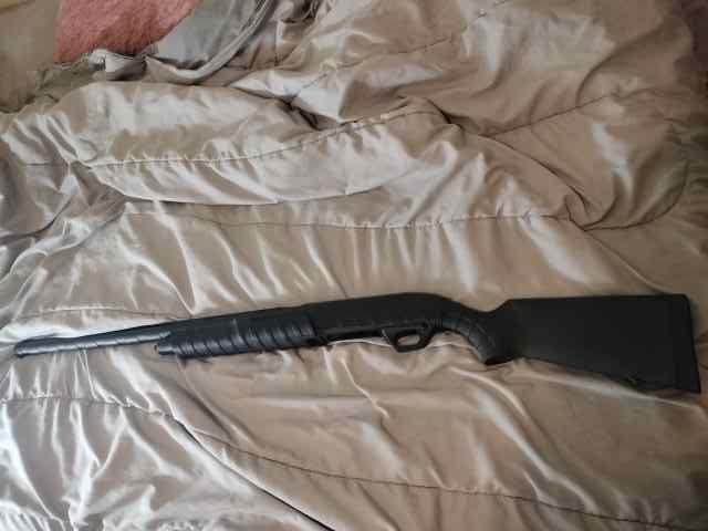 Remington 887 Nitromag 12 gauge and single shot 20