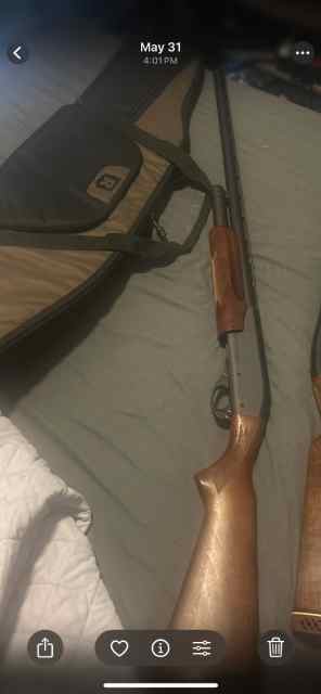 Remington 870 and stoger 12 gauge 