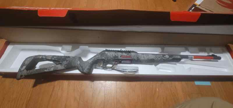 Winchester wildcat 22lr